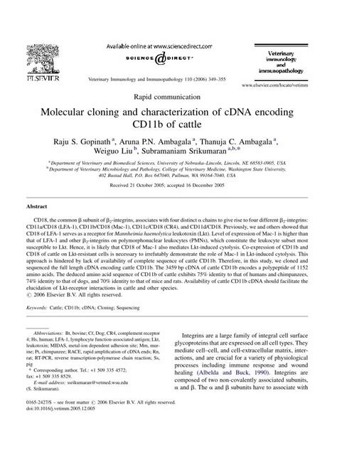 Molecular cloning and characterization of cDNAs encoding .